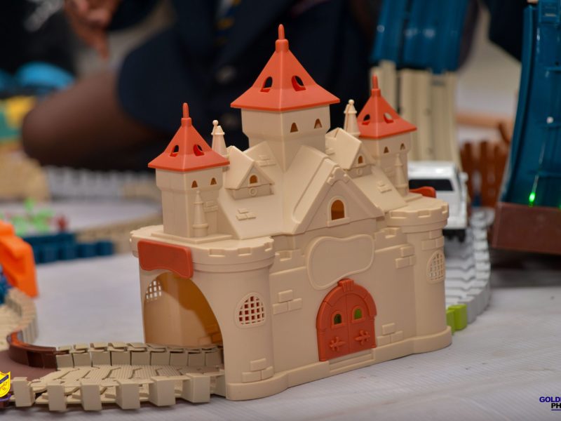 WPS Robotics Festival-42-min